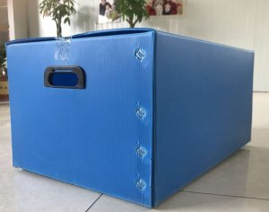 生鲜品包装箱